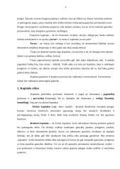 Kapitalas, jo formavimas ir rūšys 5 puslapis