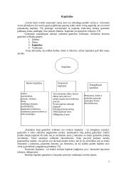 Kapitalas ir rizika 2 puslapis