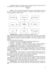 Kapitalas ir rizika 3 puslapis