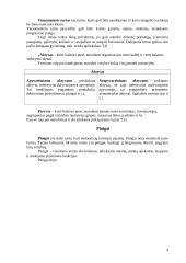 Kapitalas ir rizika 4 puslapis