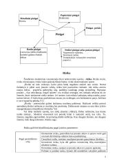 Kapitalas ir rizika 5 puslapis