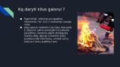 Gaisrai, gaisrų žala ir pavojai 14 puslapis