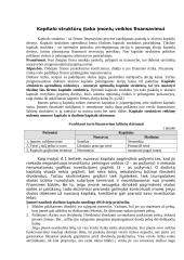 Kapitalo struktūros sprendimai 2 puslapis