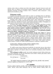 Kapitalo struktūros sprendimai 3 puslapis