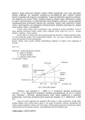 Kapitalo struktūros sprendimai 4 puslapis