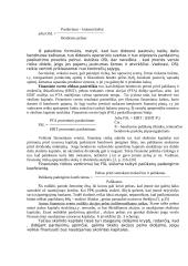 Kapitalo struktūros sprendimai 6 puslapis