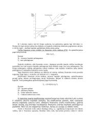 Kapitalo struktūros sprendimai 7 puslapis