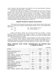 Kapitalo struktūros sprendimai 8 puslapis