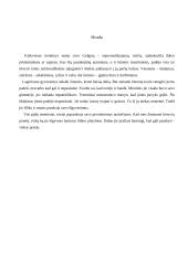 Kas tremtiniams padėjo išlikti laisviems? 6 puslapis