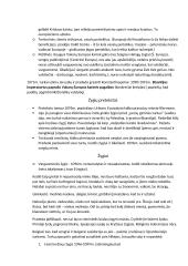 Kryžiaus žygių konspektas 2 puslapis