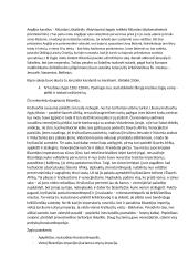 Kryžiaus žygių konspektas 4 puslapis