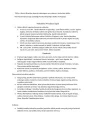 Kryžiaus žygių konspektas 5 puslapis