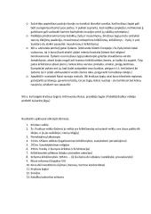 Kryžiaus žygių konspektas 6 puslapis