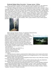 Kelionė automobiliu 5 puslapis