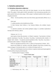 Gamybos planavimas ir planavimo uždavinys 3 puslapis