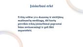 Erkinis encefalitas (skaidrės) 6 puslapis