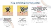 Erkinis encefalitas (skaidrės) 7 puslapis