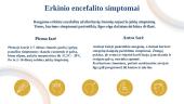 Erkinis encefalitas (skaidrės) 8 puslapis