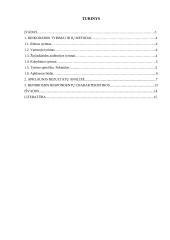 Kiekviena filosofija — savęs pateisinimas 11 puslapis