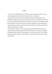 Kinija — globalus fenomenas 2 puslapis