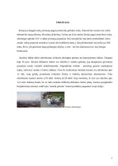 Kinija — globalus fenomenas 5 puslapis