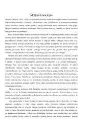 Klasikos ir klasicizmo sampratos 6 puslapis