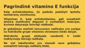 Vitaminas E (skaidrės) 12 puslapis