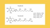 Vitaminas E (skaidrės) 8 puslapis