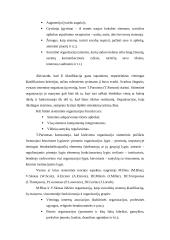 Klasikinė sisteminė teorija 4 puslapis