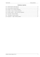 Kontaktų valdymo sistema 3 puslapis