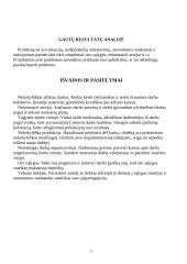 Kokybės vadybos kontrolė 6 puslapis