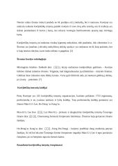 Širumas - korėjietiškos imtynės 3 puslapis