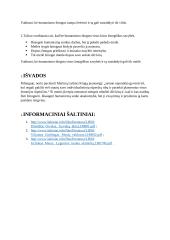 Kaip išsaugoti humanizmo idealus brutaliame pasaulyje? Kalbos planas 2 puslapis