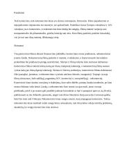 Komercinis ir nekomercinis kinas 5 puslapis