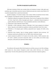 Kompiuterių surinkimo technologija 13 puslapis