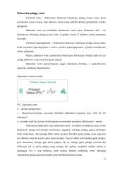 Dabartinė pinigų vertė (euras) 5 puslapis