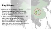 Didžiosios pandos 5 puslapis
