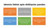 Didžiosios pandos 8 puslapis