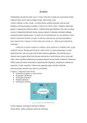 Atsakinga lyderystė 2 puslapis