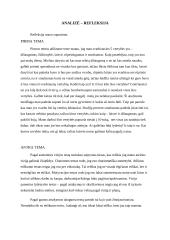 Atsakinga lyderystė 3 puslapis