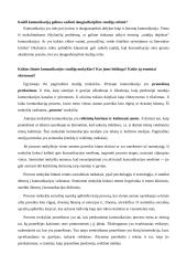 Komunikacijos įgūdžiai (referatas) 2 puslapis