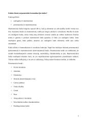 Komunikacijos įgūdžiai (referatas) 4 puslapis