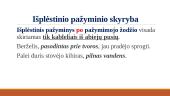 Pažyminys. Pažyminio rūšys 10 puslapis