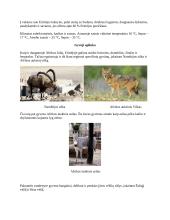 Eritrėja - Afrikos valstybės aprašas 4 puslapis