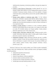 Konfliktų sprendimo procesas: UAB "Vežėjas" 5 puslapis