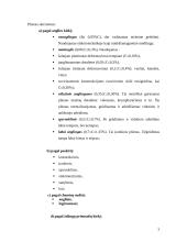 Konstrukcinės medžiagos: plienas 2 puslapis