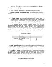 Konstrukcinės medžiagos: plienas 4 puslapis