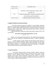 Konstrukcinės medžiagos: plienas 6 puslapis