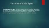 Genetinės, paveldimos ir chromosominės ligos 4 puslapis