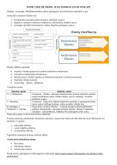 Asmeniniai finansai konspektas 2 puslapis